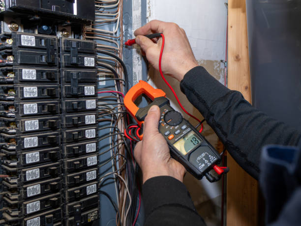 Best Affordable Electrician  in Palmyra, NJ